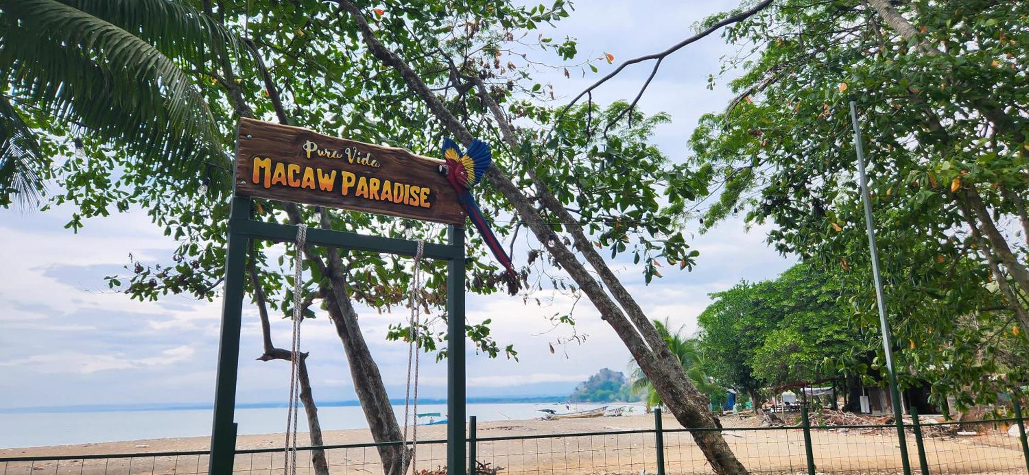 Macaw Paradise Jaco Bagian luar foto