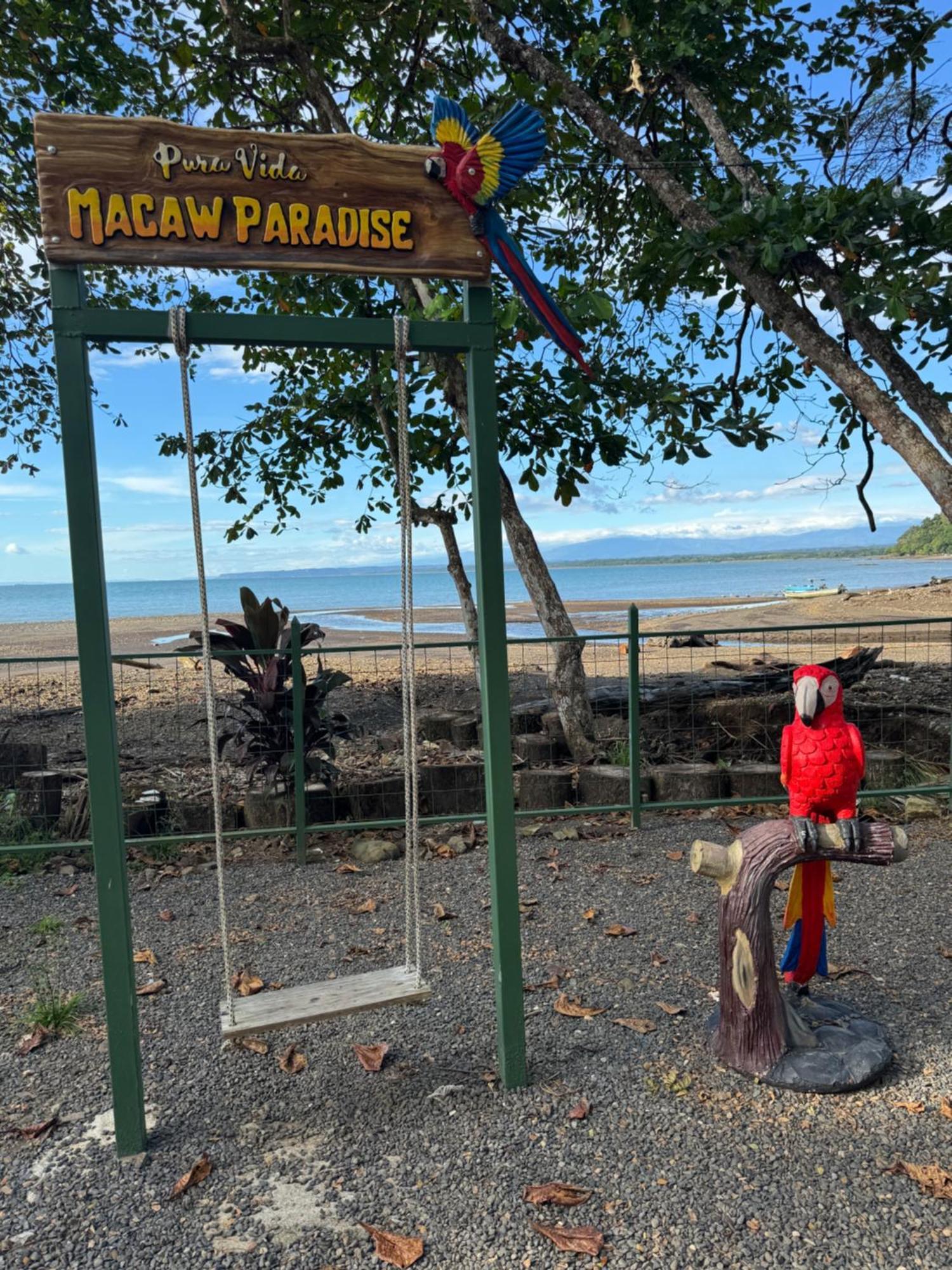 Macaw Paradise Jaco Bagian luar foto